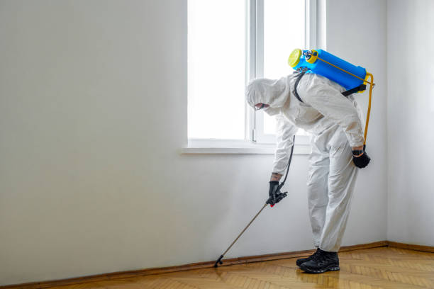 Best Commercial Pest Control  in Rushvle, IL